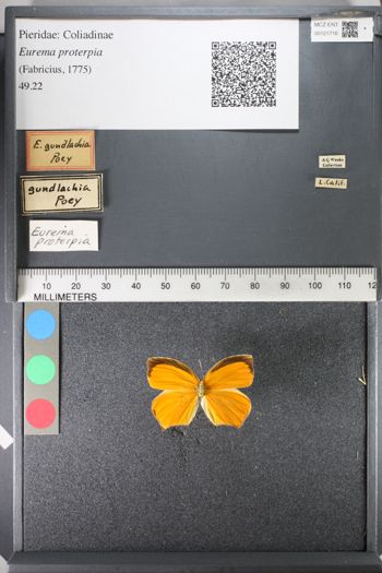 Media type: image;   Entomology 121716
